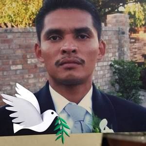 Meet your Posher, Hector